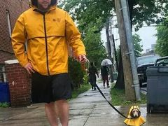 -刘一锅筋头巴脑(小北店)