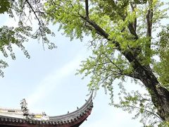 -西园戒幢律寺