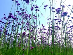 -杭州城北体育公园