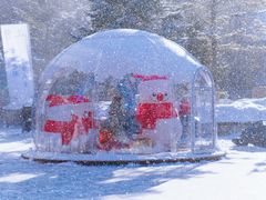 -爱新觉罗福臨火锅馆(万科滑雪场店)