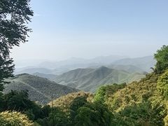 -莫干山风景区
