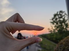 -合肥滨湖国家森林公园