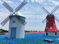 -歌斐颂巧克力小镇