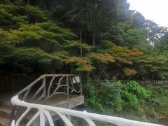 -四明山国家森林公园