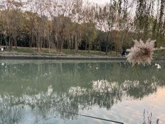 -广富林郊野公园