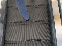 -世博源公馆·本帮融合菜·主题包厢·江景餐厅