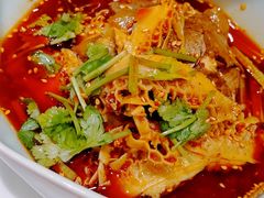 -金鼎轩·滋养小餐馆(联想桥店)