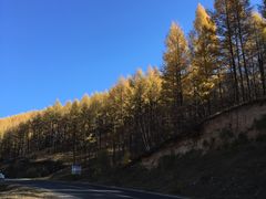 -塞罕坝国家级自然保护区