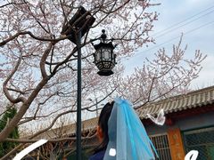 -碑林公园