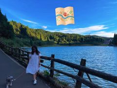 -武陵山森林公园