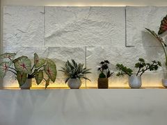-山与蓝·轻糖鲜果蛋糕(勒泰店)
