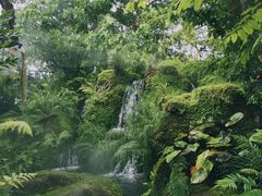 -Chom Cafe and Restaurant