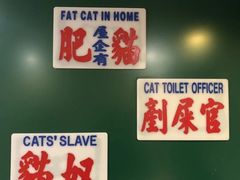 -Catmate·猫肥家润(金润铂宫店)