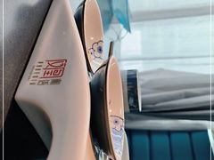 -凤凰湘语(浦东旗舰店)