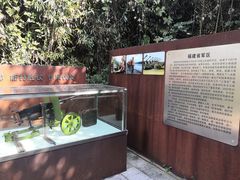 -梅峰山地公园