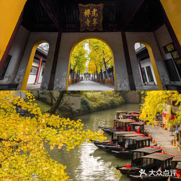 苏州赏秋 🍂本地人推荐(实地打卡分享)