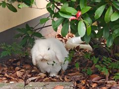 -三江森林温泉度假区