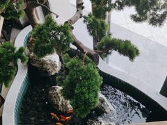 -聚鑫阁江浙菜·非遗传承技艺(青村帝华园店)