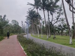 -万绿园