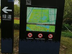 -九科绿洲