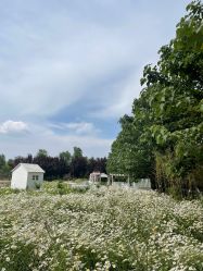 -DORA kids 朵拉儿童摄影花园店