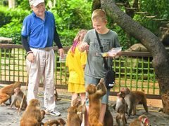 -南湾猴岛+椰田古寨一日游