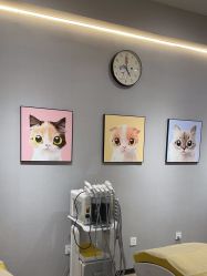 -洗脸猫·洗脸吧