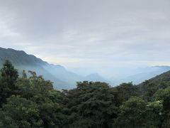 -广州市石门国家森林公园