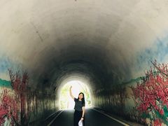 -东湖落雁景区