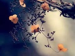 -天元坊(梁溪店)