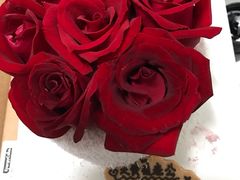 -EnergyCake蛋糕理想国