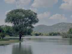 -梁鸿国家湿地公园