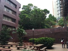 -香港大学