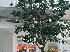 -大树餐厅(红旗街万达店)