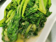 清炒广东菜心-金狮麟·新豫菜(金码大厦店)