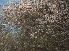 -广州市流溪河国家森林公园