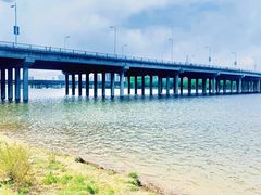 -长白岛森林公园