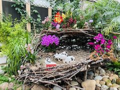 -石家庄市植物园