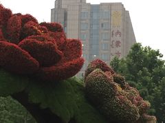-内蒙古大厦酒店