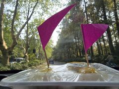 -江南春(中山中路店)