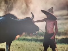 -湘邻呷铺·田园家宴(汉基广场店)