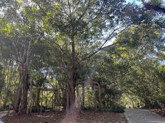 -中国科学院西双版纳热带植物园