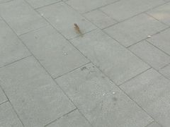 -莲湖公园