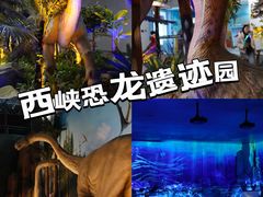 -中国西峡恐龙遗迹园