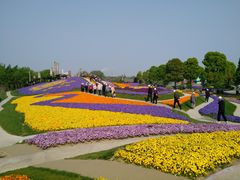 -南通洲际绿博园