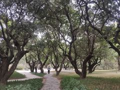 -荔香公园