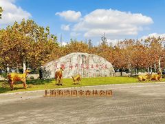 -上海海湾国家森林公园