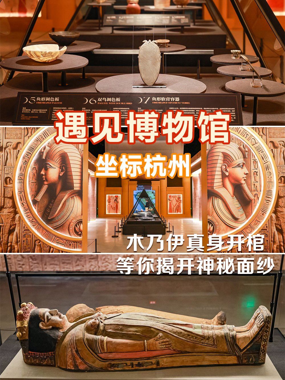 木乃伊真身开棺!胆小勿入!