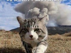 -秃鹫湾·推理大师沉浸式实景演绎推理剧场