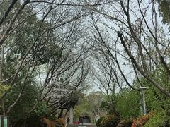 -长广溪湿地公园